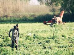 
      
      Researchers say mental health care for farmers requires overhaul
      
      
