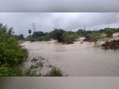 
      
      Cyclone Mandous disrupts traffic on Andhra highway
      
      