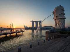 
      
      Singapore becomes 'most expensive city,' Indians cope up
      
      