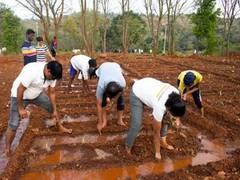 
      
      EY Global Delivery Services celebrates International Volunteering
      
      