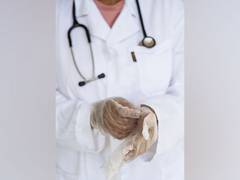 
      
      Study reveals why humans get infected with rodent-borne diseases
      
      