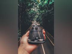 
      
      Anonymous GPS data could help check people's green space usage
      
      