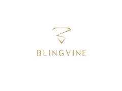 
      
      Blingvine gives stage to the Often Overlooked, Bracelets 
      
      