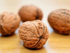 
      
      Walnuts are the new brain superfood for stressed students
      
      