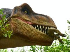 
      
      Scientists discover what all did earliest dinosaurs like to eat
      
      