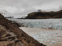 
      
      Linking fossil proxies to bacteria helps climate prediction
      
      
