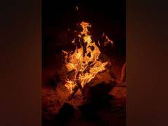 
      
      Researchers outline 5 challenges in advancement of fire studies
      
      