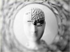 
      
      Genes indicating Alzheimer's risk identified using new methods
      
      