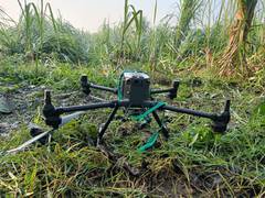 
      
      BSF spots drones in Punjab's Gurdaspur, searches underway
      
      