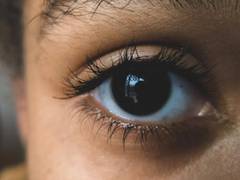 
      
      Treatment discovered for rare eye disease to prevent blindness
      
      