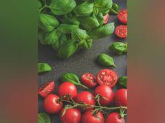 
      
      Tracing tomatoes' health benefits to gut microbes: Research
      
      