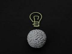 
      
      Brains consolidate motor memory during sleep: Study
      
      