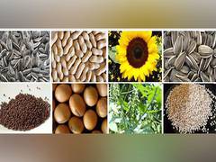 
      
      India's overall oilmeal exports up 50% so far in 2022-23
      
      