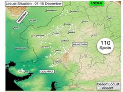 
      
      India free from presence of locust swarms
      
      