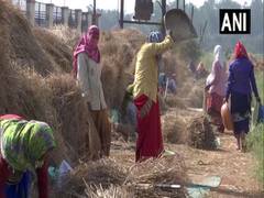 
      
      Chhattisgarh: University develops advanced variety of paddy
      
      