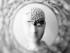 
      
      Research on mice reveals brain cells linking to tumour growth
      
      