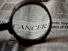 
      
      Epigenetics breaks into the clinical practice of cancer: Research
      
      
