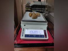 
      
      Customs seize gold worth Rs 44 lakhs at Kochi airport
      
      