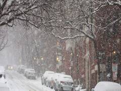
      
      US: Brutal winter storm kills 32
      
      