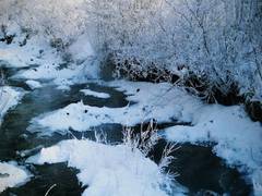 
      
      'Antarctic conservation effort insufficient to save biodiversity'
      
      