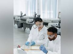 
      
      Microscopic training grounds allow B cells fight against viruses
      
      