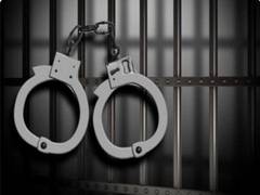
      
      Gangster wanted for murder in Rajasthan's Nagaur held in Delhi
      
      
