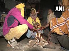 
      
      Severe cold wave conditions persist in Delhi
      
      