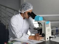 
      
      Study disocver artificial DNA to locate, eliminate cancer cells
      
      