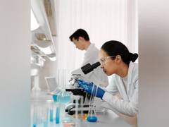 
      
      Study finds direct link between spatial goals, behaviour in brain
      
      
