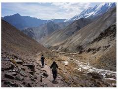
      
      Himachal: Kangra authorities ban all trekking
      
      