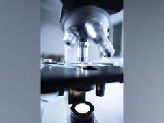 
      
      Drying process could be key step in the development of life
      
      