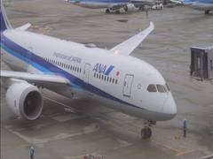 
    All Nippon Airways resumes domestic, international flights
    