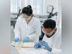 
      
      Immune system uses two-step verification to defend against HIV
      
      