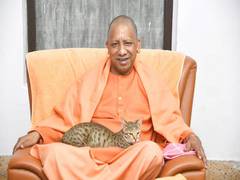 
      
      Yogi Adityanath doting on cat goes viral on last day of 2022
      
      