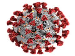 
      
      Booster dose of Covid-19 increases antibody response: Study
      
      