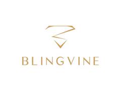 
      
      The Business Strategy that helped Blingvine reach 1 Lakh Customer
      
      
