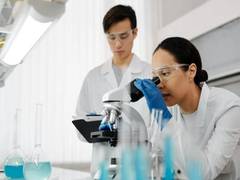 
      
      How high-energy X-rays trace destruction in bone samples
      
      