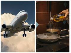 
      
      Here's why aviation industry is relying on cooking oil as fuel
      
      