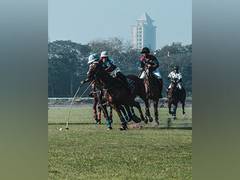 
      
      ARC to host Nati'l Dressage Competition for Asian Games selection
      
      