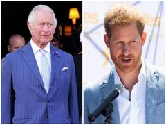 
      
      King Charles wants to reconcile with Prince Harry: Reports
      
      