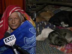 
      
      HC gives stay order after dogs, their caretaker go homeless
      
      