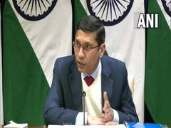 
      
      No reason to link deaths of three Russian nationals in India: MEA
      
      