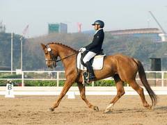 
      
      Nat'l Dressage: Moksh, Gaurav, Sophia, Ariana secure top position
      
      
