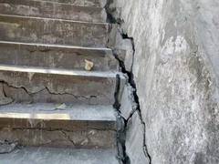 
      
      Joshimath subsidence: Uttarakhand CM to hold high-level meet
      
      