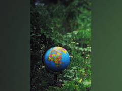 
      
      Climate impact labels on food had strong effect on selection
      
      