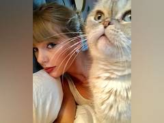 
      
      OMG! Taylor Swift's cat worth 800 crores: Reports
      
      