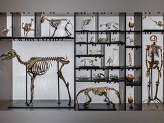 
      
      Scientists delve into how evolution works
      
      