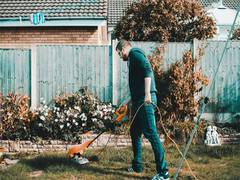 
      
      Gardening can help reduce cancer risk, boost mental health: Study
      
      