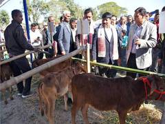 
      
      Assam: Purabi Dairy highlight benefits of artificial insemination
      
      