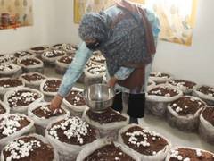 
      
      GI-tagged Jammu and Kashmir products to boost rural ecomomy
      
      
